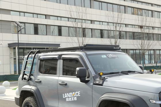 کیت ارتقاء نردبان سیاه برای مخزن 300 سفارشی